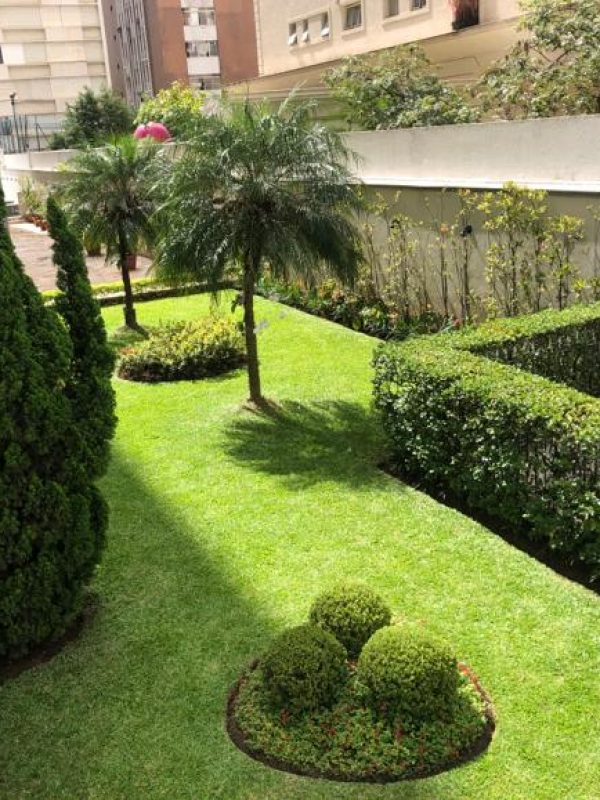 Jardim - condomínio edifício Elite 1